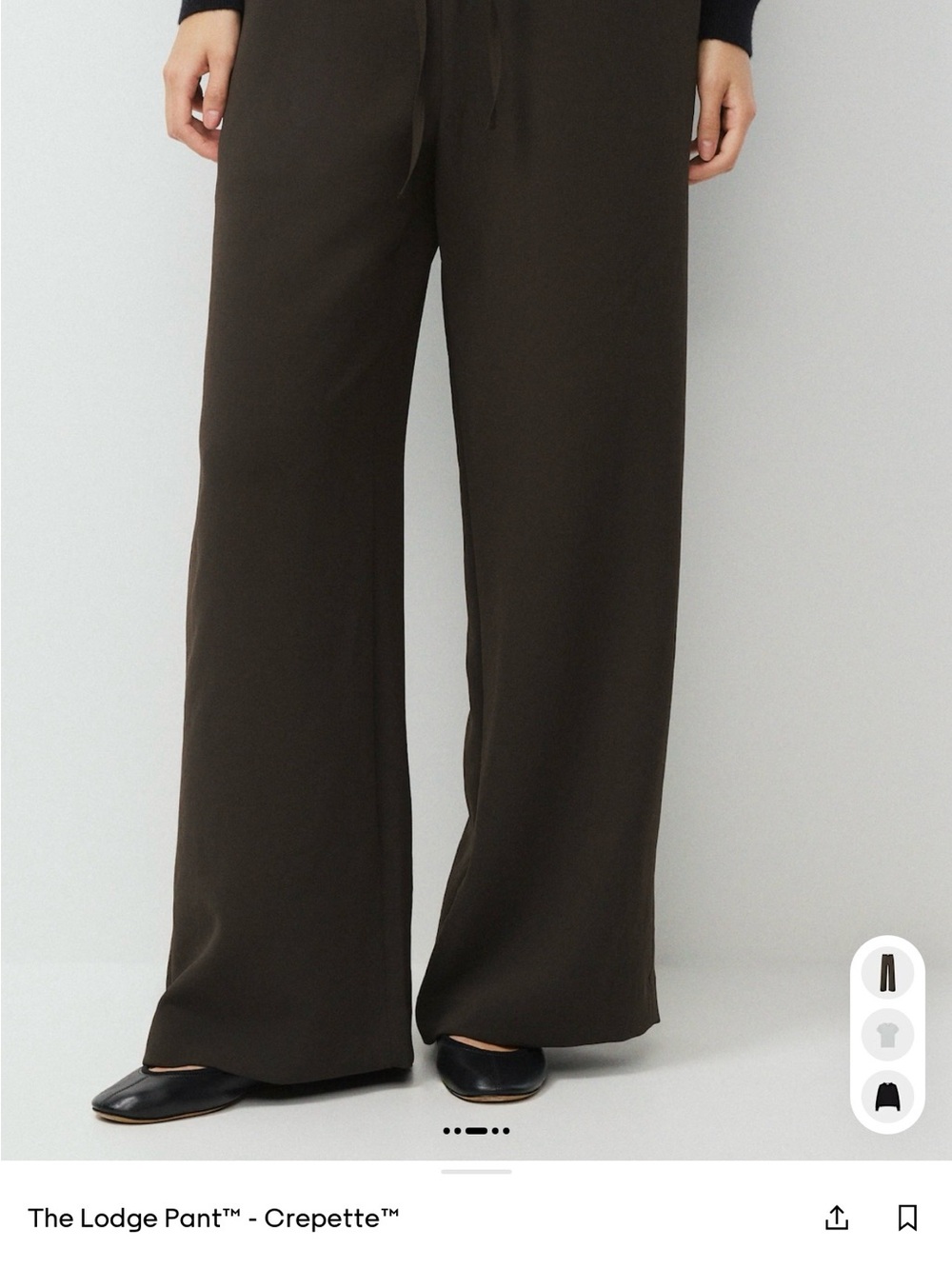 NWT Wilfred Lodge Crepette Wide-Leg Pants - Dark Brown